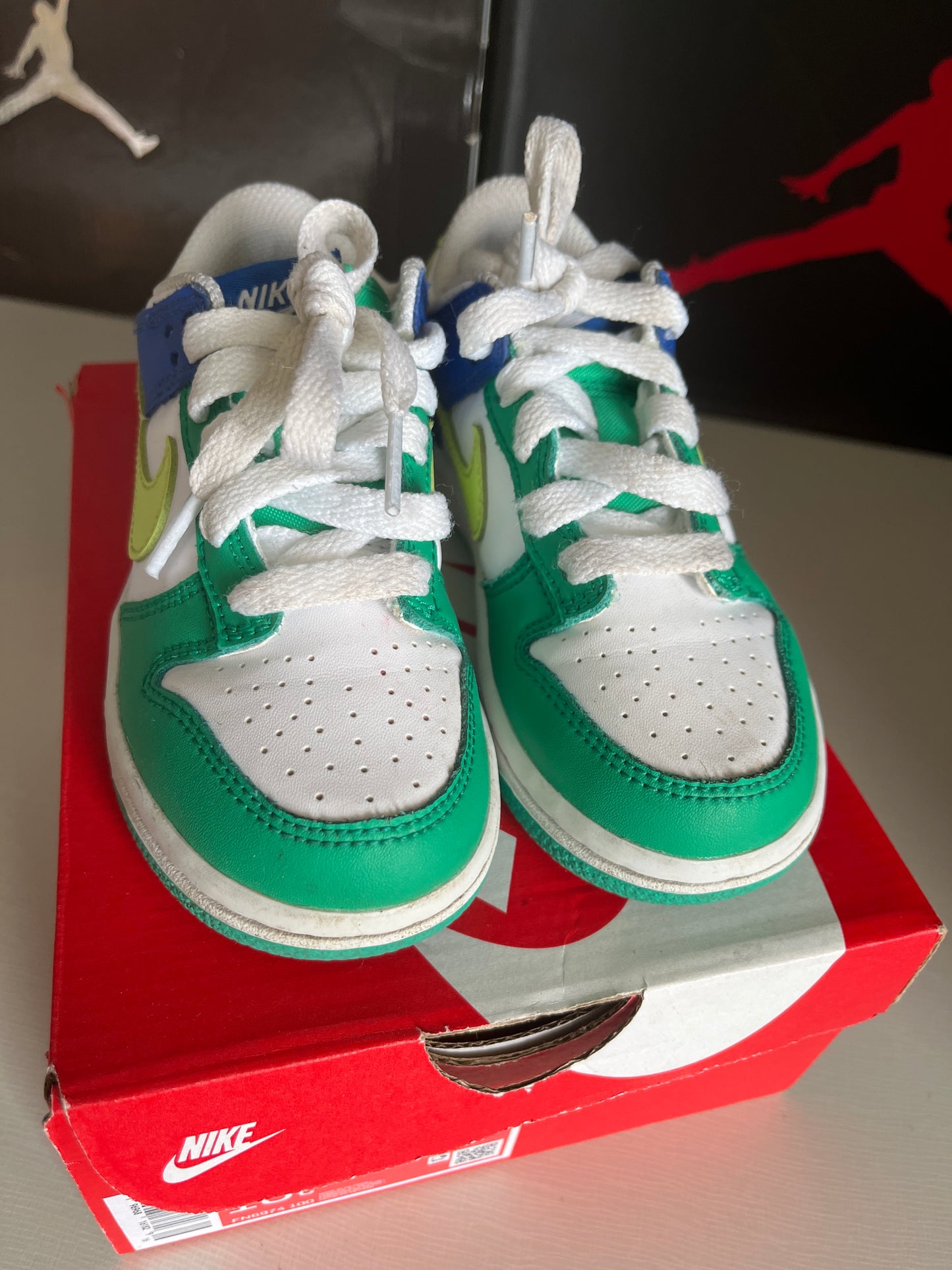 Tri Color Dunk Size 10.5C INFANT