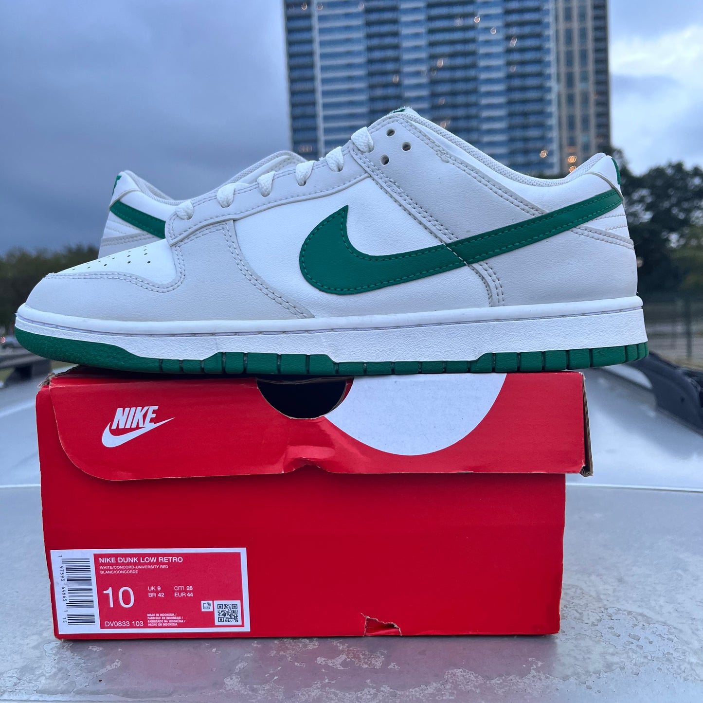 Dunk Low Green White Size 10