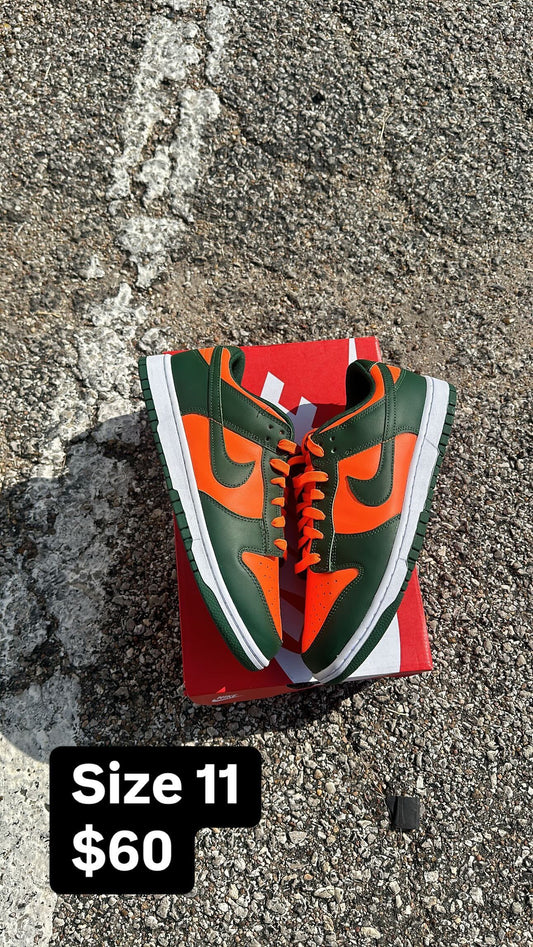 FAMU Dunks Size 11