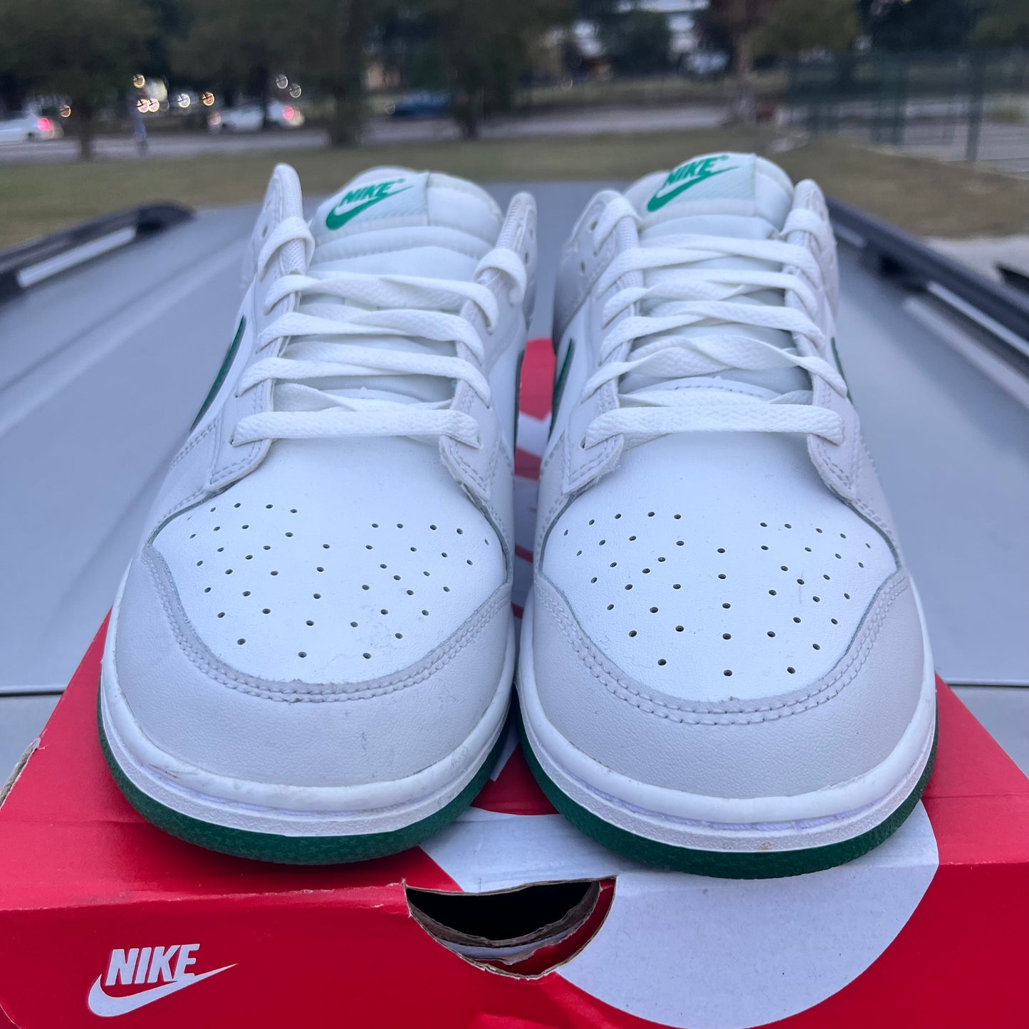 Dunk Low Green White Size 10