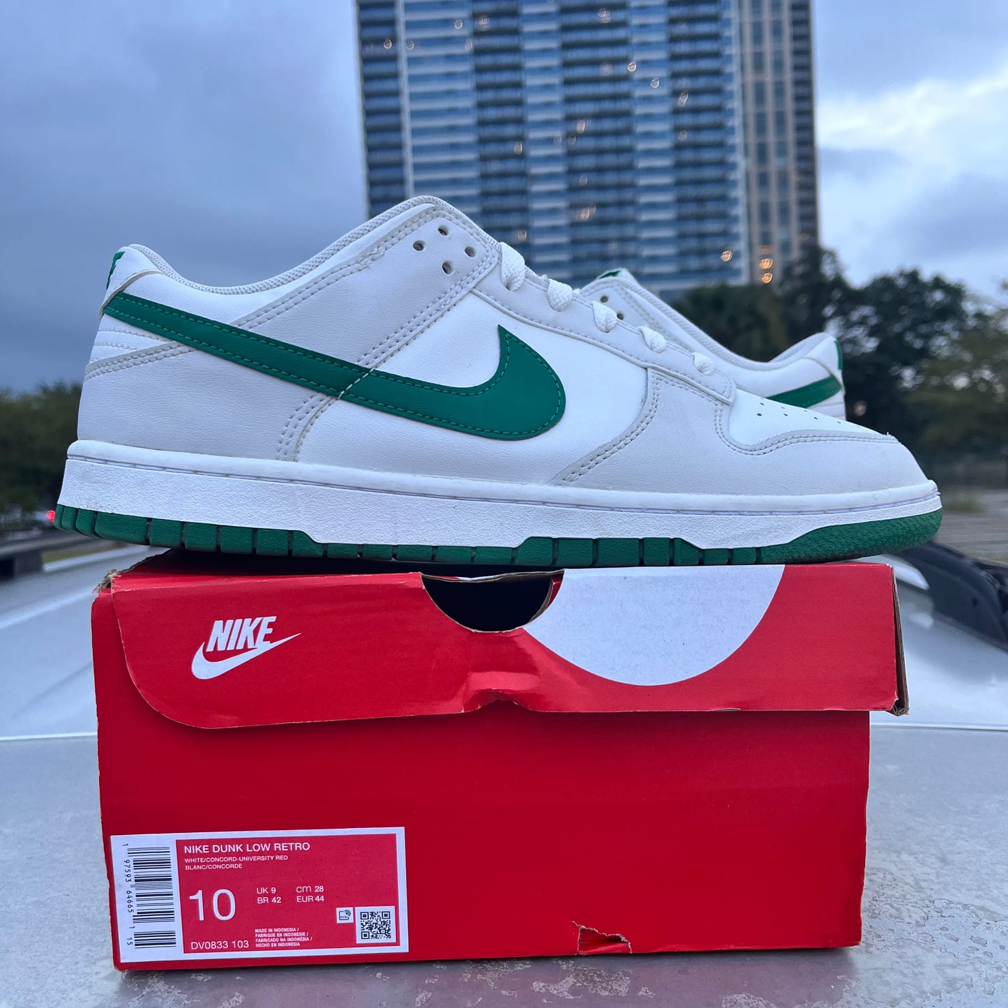 Dunk Low Green White Size 10