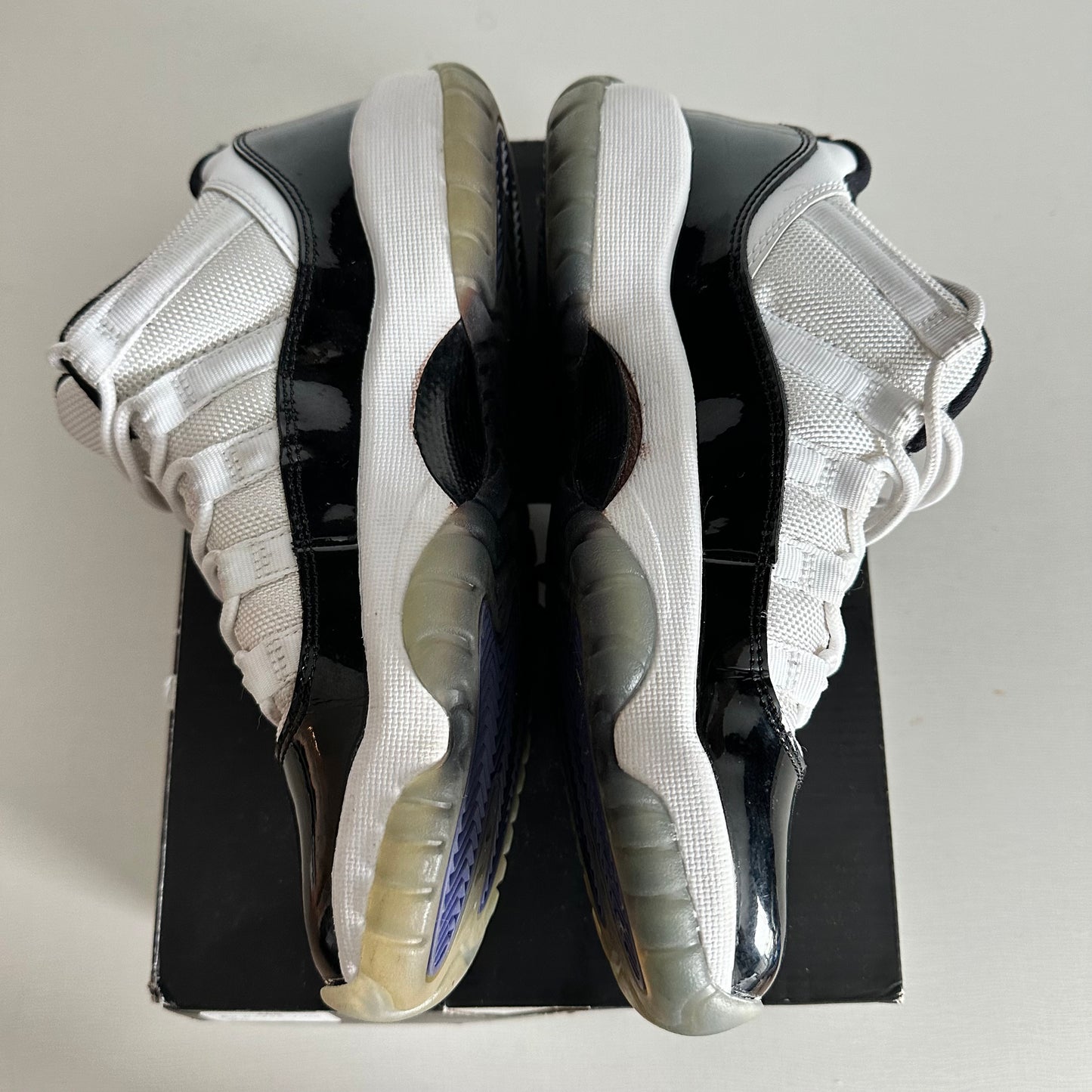 Jordan 11 Concord 5Y