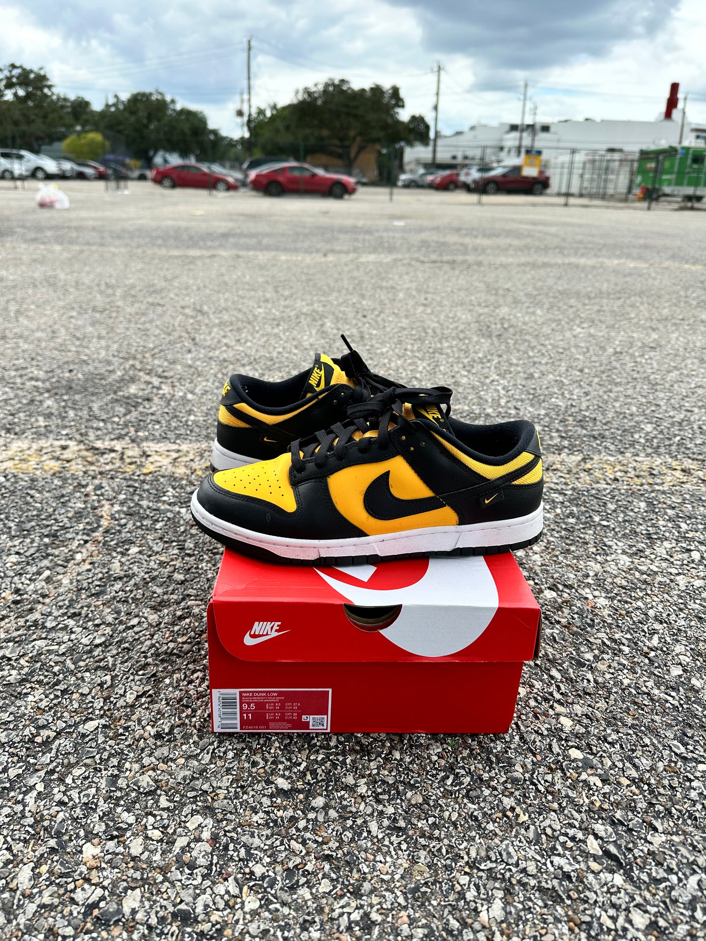 Dunk Low Black & Yellow Size 9.5